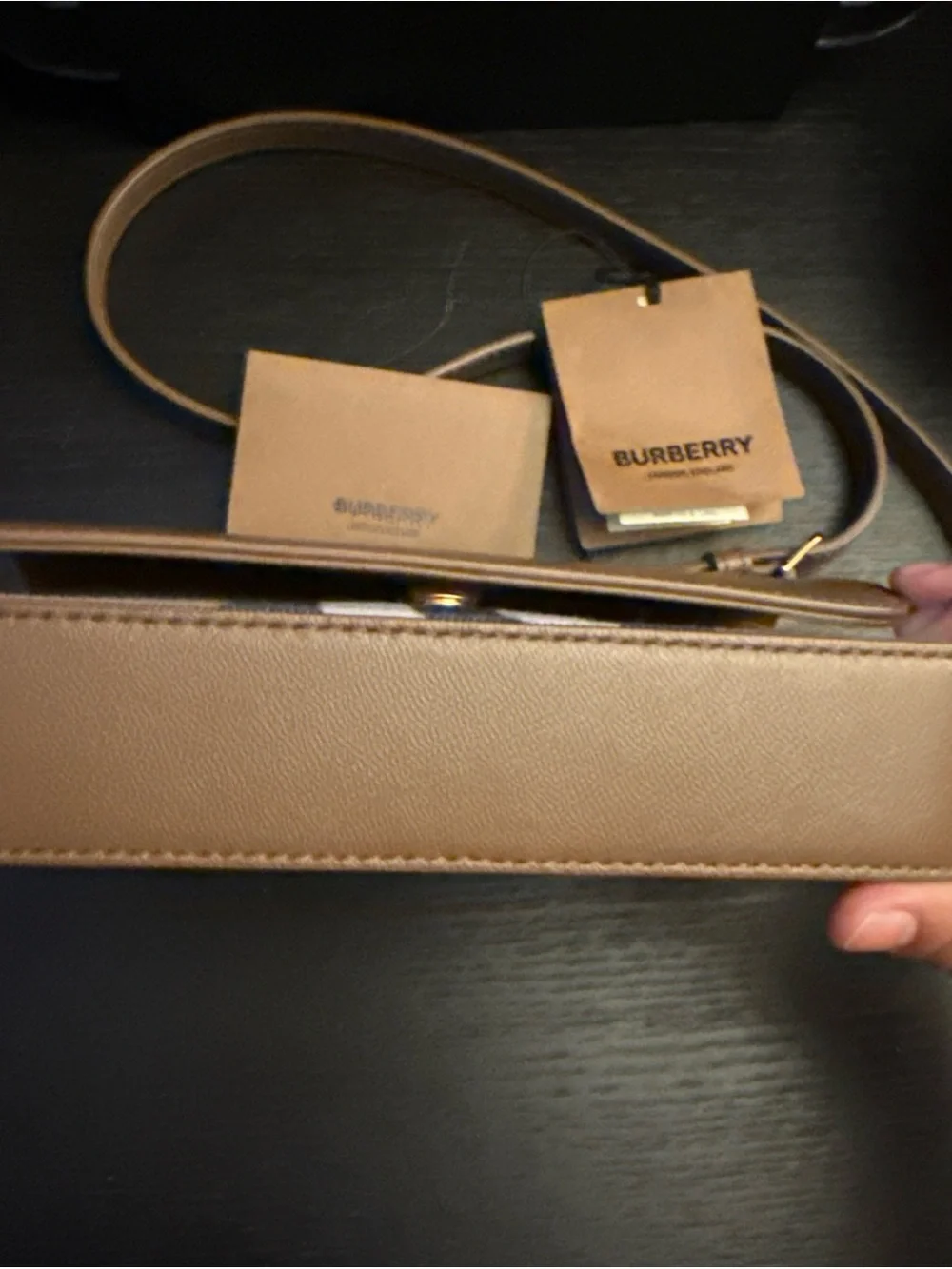 Burberry Crossbody Hampshire House Check Derby Tan
